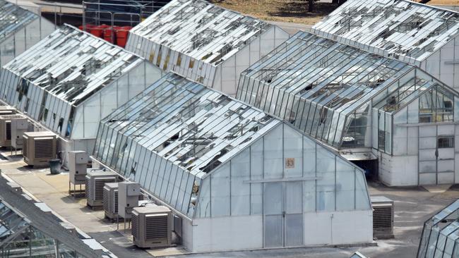 Damaged CSIRO glasshouses. Picture: AFP