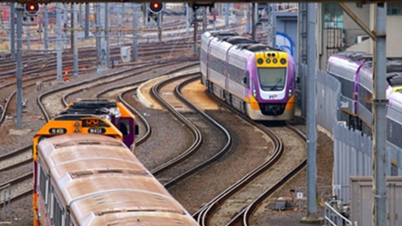 are dogs allowed on vline trains