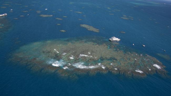 Moore Reef from the air. Picture: Brian Cassey