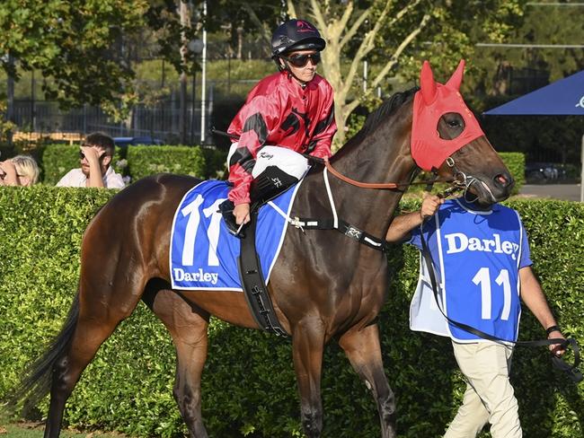 Unleeshing can bounce back to winning form at Kembla. Picture: Bradley Photos