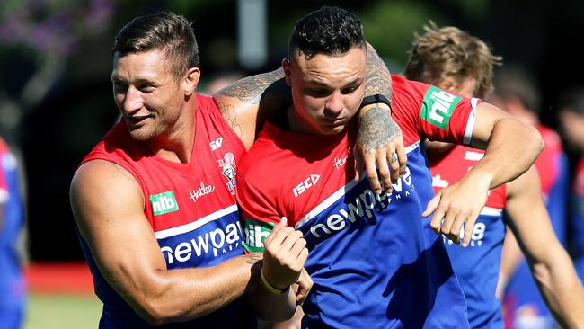 Knights co-captain Tariq Sims gives Jaelen Feeney a rough up at training. Feeney will debut this weekend. Picture: Peter Lorimer