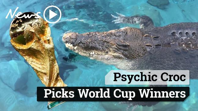 Psychic Croc picks World Cup winners