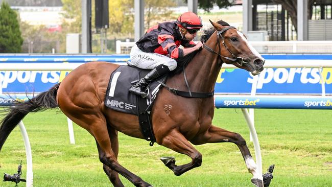 Dunkel in full flight winning at Caulfield last start. Picture: Reg Ryan/Racing Photos via Getty Images