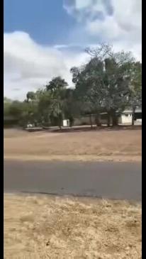 Street disturbance, Mareeba