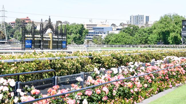 An empty Flemington.