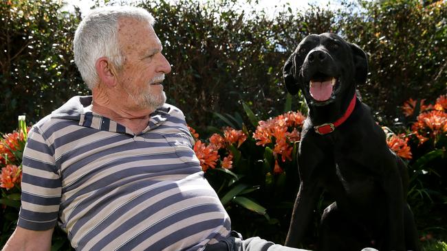 Bob Hearn with the family’s labrador — great dane cross Jet at their Castle Hill home. Photograph: Justin Sansom