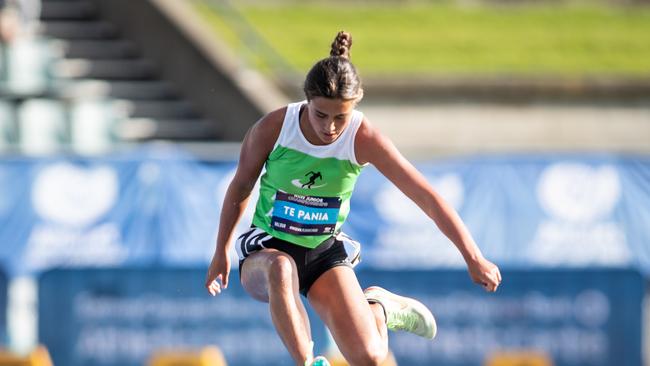 Pipi Te Pania competing in the steeplechase for Sydney Athletics Academy. Picture: Julian Andrews.