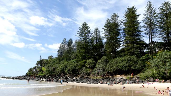 The council is set to spend up on restoration works around Greenmount Hill after brush turkeys caused erosion and rock falls. Picture: Tim Marsden