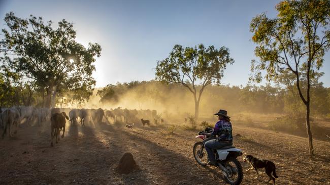 Gilberton Outback Retreat. Photo: Tourism and Events Queensland, Phil Warring