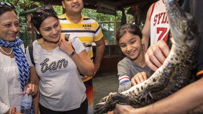 Indian tourist Netania Barot (11) from Mumbai tickles salt water crocodile ˜Cuddles”, watched by Bharati Shah (left) and Silky Shah at Marineland Melanesia on Green Island. Picture: Brian Cassey