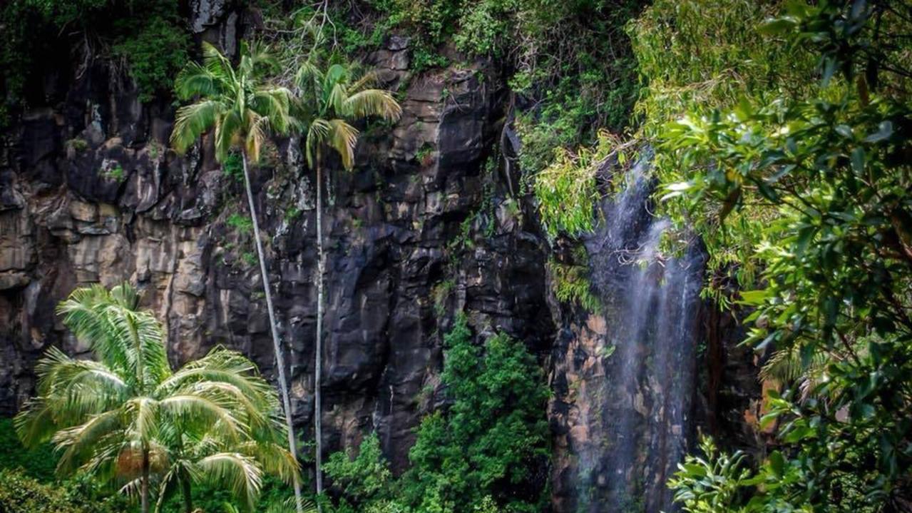 Cameron Falls Mt Tamborine