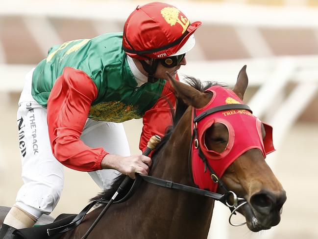 MELBOURNE, AUSTRALIA - NOVEMBER 06: Luke Nolen riding #8 Zayydani wins race 5, the TAB Matriarch Stakes during 2021 Paramount+ Stakes Day at Flemington Racecourse on November 06, 2021 in Melbourne, Australia. (Photo by Darrian Traynor/Getty Images)