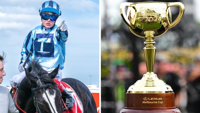 Your full form guide to the 2024 Melbourne Cup.