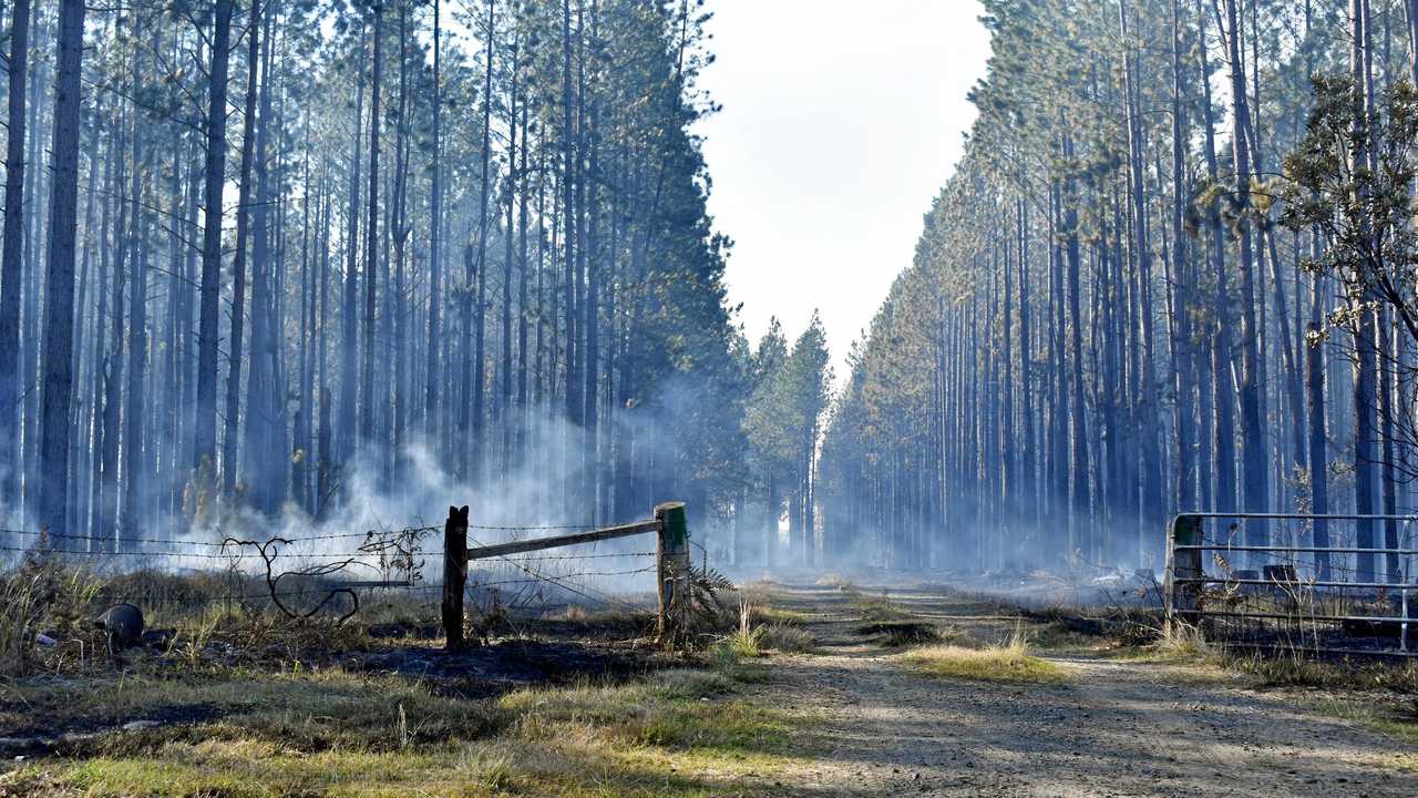 Fire smouldering at Clearfield near Rappville on Sunday, August 11. Picture: Susanna Freymark