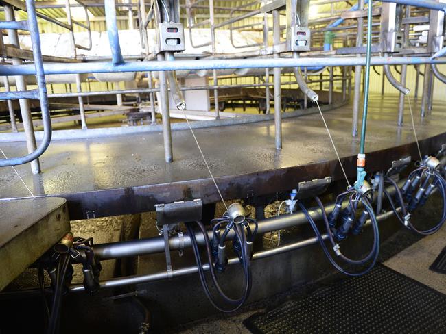 Chinese listed company DFP Australia has bought two farms, one at Poowong and one at Athlone. General manager Roy Wang at the Poowong Farm.