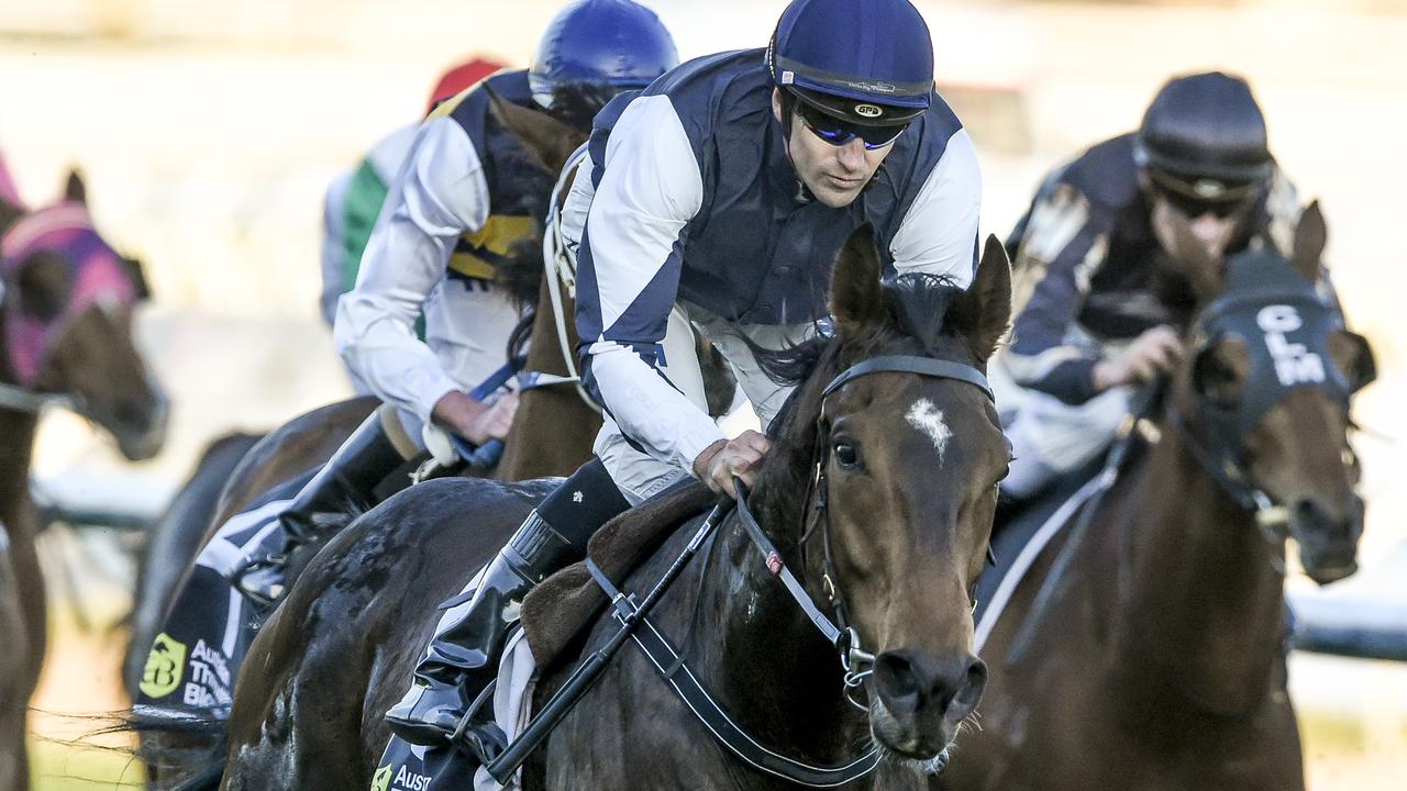 Horse Racing Caulfield. Race 9. Australian Thoroughbred Bloodstock Stakes, 1700m. Winner: Stipulate, Jockey, Dwayne Dunn (Blue and white) Picture: Jason Edwards.