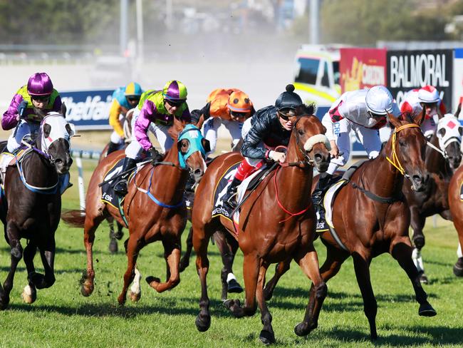 The case against racehorse whipping in Tasmania will be discontinued.