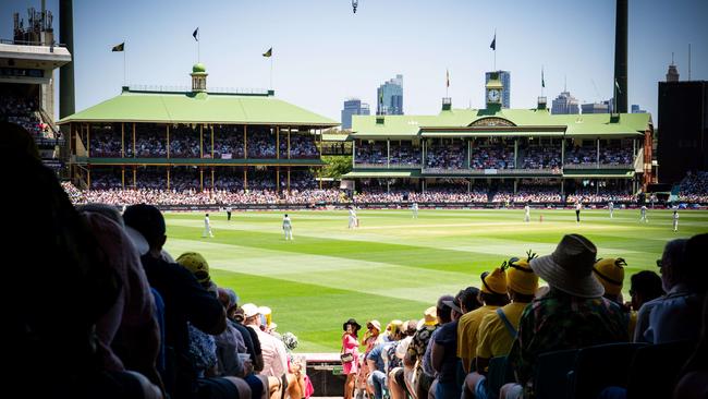 Perfect cricket weather at the SCG on Day 2 of the 5th test. Photo: Tom Parrish