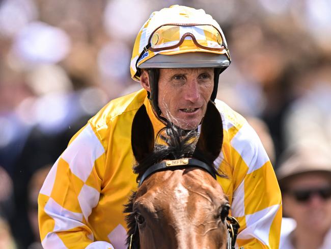 Damien Oliver returns to the mounting yard on Queen Of The Ball after winning the Furphy Sprint, at Flemington Racecourse on November 04, 2023 in Flemington, Australia. (Morgan Hancock/Racing Photos via Getty Images)