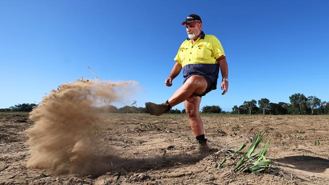 The record breaking floods that swept over Mick Andrejic's Freshwater farm last December have left a layer of silt up to six feet high in some areas. The flooding has affected 250 acres of land used for sugar cane farming, with crop growth and harvesting heavily impacted. Picture: Brendan Radke