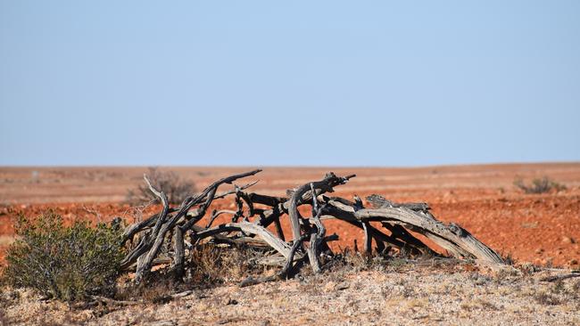 Westaway’s findings are eye-opening and represent an important advance in our understanding of how Aborigines not only survived in an unyielding environment but thrived prior to contact.