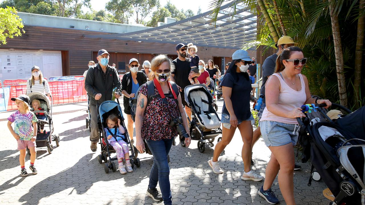 Families will be able to get booster and children’s Covid vaccines at Taronga’s zoo in Sydney and Dubbo. Picture: Toby Zerna