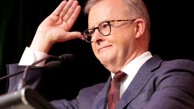 Anthony Albanese, leader of the Australian Labor Party. Picture: Steve Pohlner