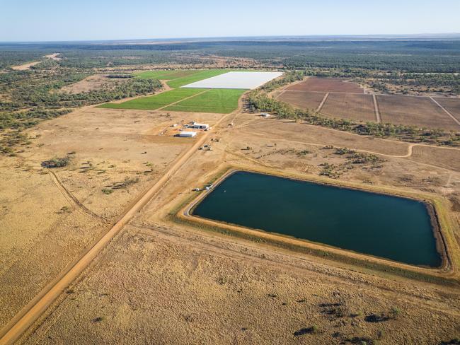 The Hughenden grape farm, owned by Marciano Table Grapes. The Flinders Shire Council hopes to leverage CopperString into more horticulture projects in the area. Picture: Townsville Enterprise