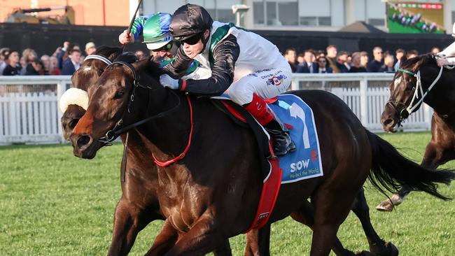 Star galloper Mr Brightside resumes in the Group 1 Orr Stakes.