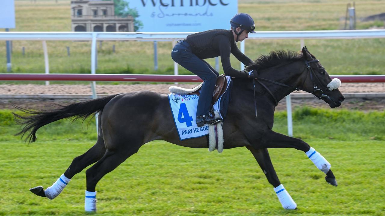 Away He Goes during trackwork at Werribee Racecourse on October 22, 2021 in Werribee, Australia. (Brett Holburt/Racing Photos via Getty Images)