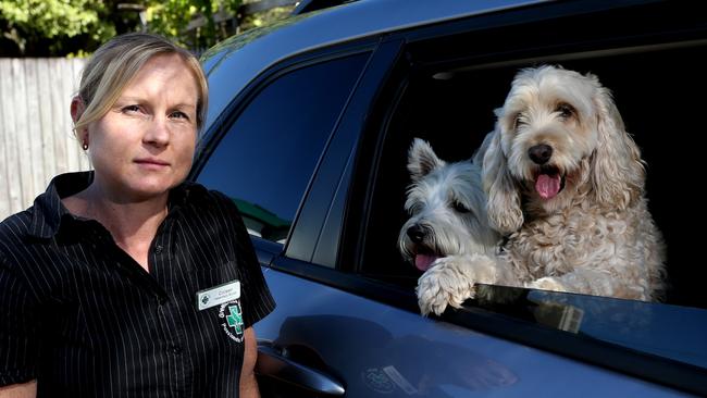 A Cairns incident where a dog died after being locked in car has inspired a petition calling on breaking into vehicles to save animals to be made legal. Vet Nurse Colleen Finn and her dogs Sonny and Lilly agree with the petition. PICTURE: STEWART McLEAN