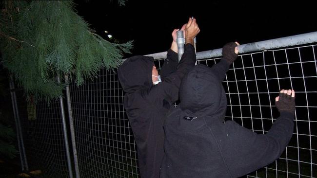 Members of Grassroots Action Network Tasmania dismantled a hundred metres of steel fencing around the giant trees in St David's Park in solidarity with community members sleeping rough. Picture: Grassroots Action Network Tasmania