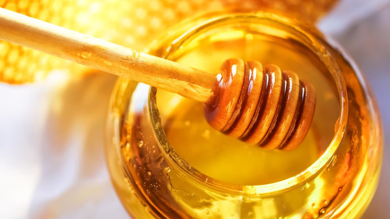 Kids News explainer: How do bees make honey? | KidsNews