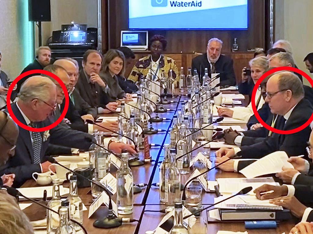 Britain's Prince Charles sat opposite Prince Albert of Monaco at the WaterAid charity's Water and Climate event in London. Prince Albert was earlier confirmed to have the disease. Pciture: via AP