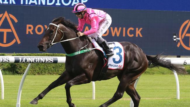 Felix Majestic is primed for success in the Wagga Town Plate. Picture: Grant Guy
