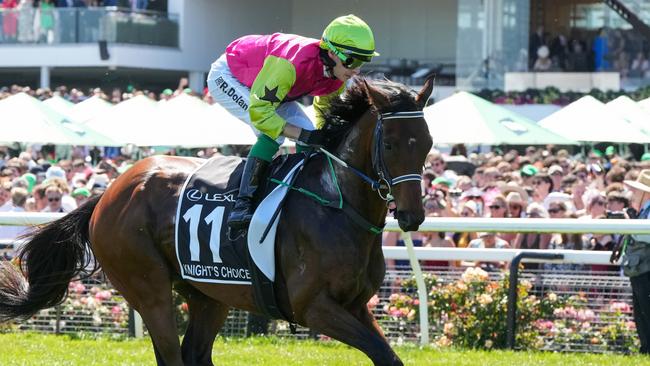 Knight's Choice will become the first Melbourne Cup champion to contest the All-Star Mile at Flemington. Picture: Racing Photos