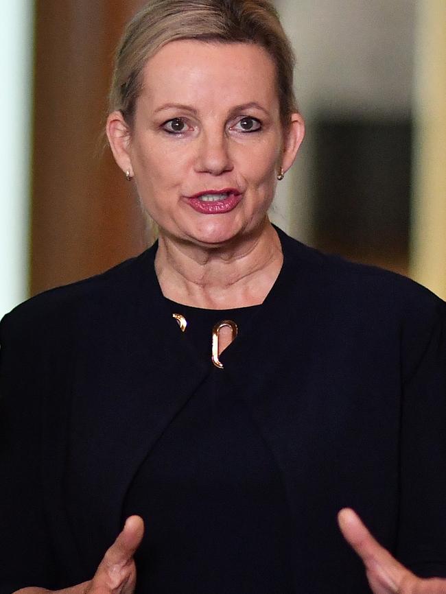 Federal Environment Minister Sussan Ley. Picture: Sam Mooy/Getty Images