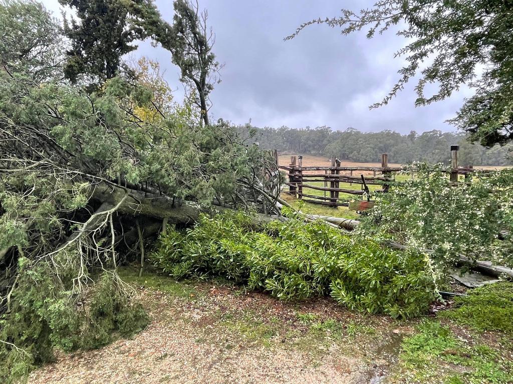 Damage after wild storms destroyed homes and left towns without power in parts of Victoria. Picture: Zoe Phillips