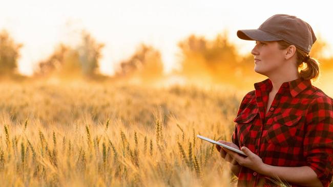 HELPFUL PARTNERSHIP: The Australian Made Campaign said its new partnership with Primex Field Days will support and further promote the growth of the Australian agriculture sector. Photo: Supplied