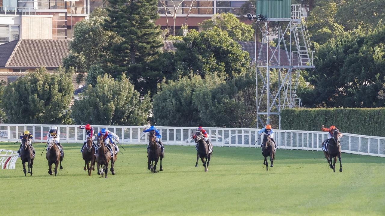 Sydney Racing