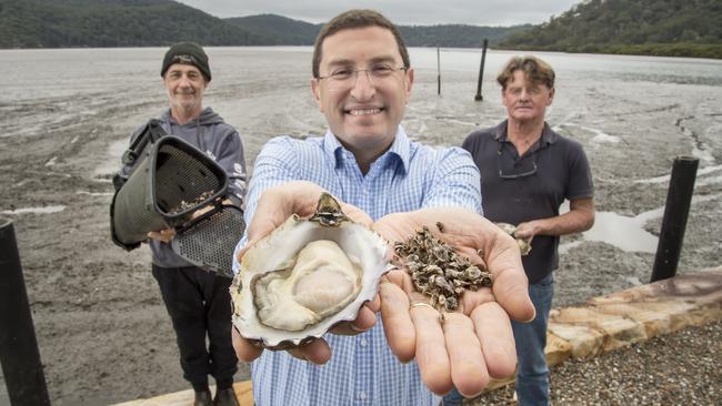 Member for Berowra Julian Leeser (C) holds Triploid POMS resistant Pacific Oyster Spat next to mature Pacific Oysters with oyster farmers Adam Milward (L) &amp; Rob Moxham (R) at Mooney Mooney. Picture: AAP IMAGE / Troy Snook