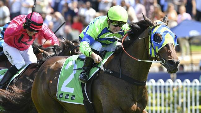 The Dramatist heads to Narramine for the Diggers Cup. Picture: Bradley Photos