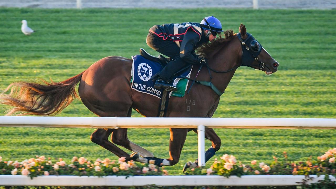 Flemington trackwork