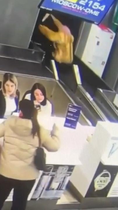 Elderly passenger mistakes bag check for escalator