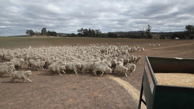 Mr Morrison is working towards new laws preventing farm invasions. Picture: David Swift.