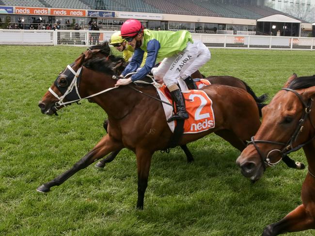 Albarado (NZ) ridden by Mark Zahra wins the Neds Classic at Caulfield Racecourse on October 17, 2020 in Caulfield, Australia. (George Salpigtidis/Racing Photos via Getty Images)