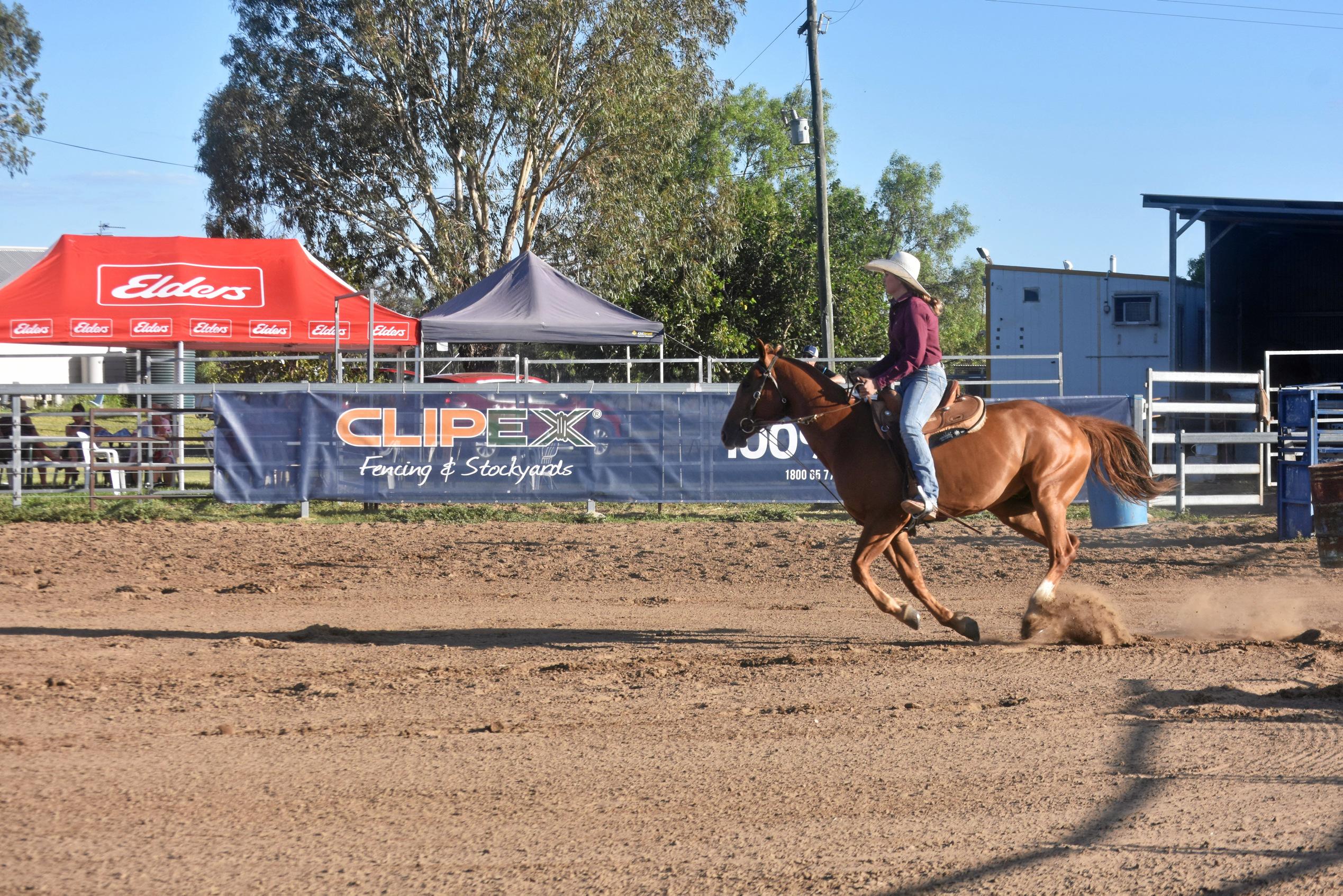 3D barrel racing, Ayers Jackpot. Picture: Jorja McDonnell