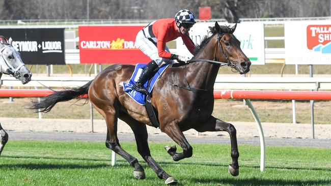 Revelare can overcome a wide gate when the talented prospect steps out at Flemington. Picture: Racing Photos via Getty Images