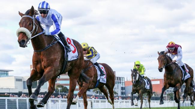 Mollynickers was super impressive winning the Vobis Gold Ingot. Picture: George Sal–Racing Photos via Getty Images