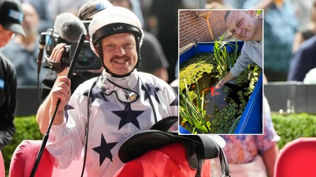 Jason Maskiell, who will return from a three-month suspension at Thursday night's Pakenham meeting, was selling goldfish during his time out. Main picture: Racing Photos via Getty Images